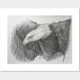 Eagle Posters and Art